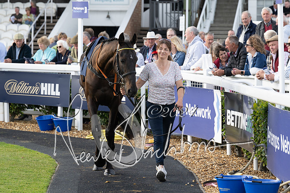 Race 3 - The pointtopoint.co.uk champion novices’ Hunter Chase (37 of 140)