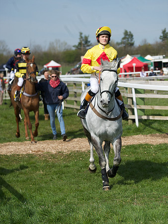 Pony Race 3 -  10