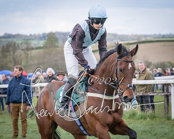Race 3 - 5 years old and Over Maiden Race (28 of 130)