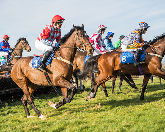Race 5 - Restricted (35 of 146)