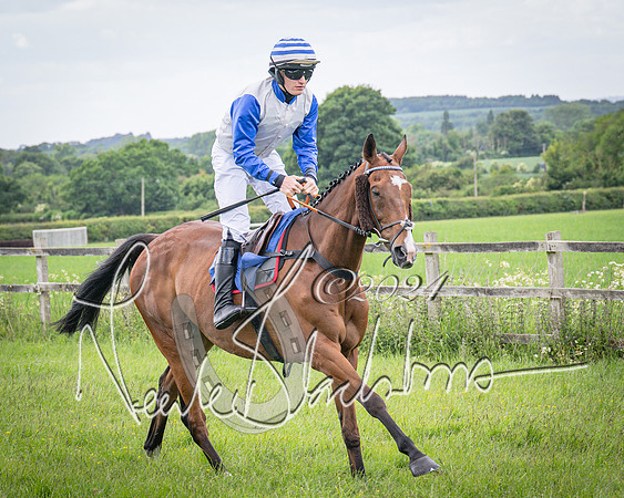 Race 2 - PPORA Members conditions race for Novice riders (31 of 127)