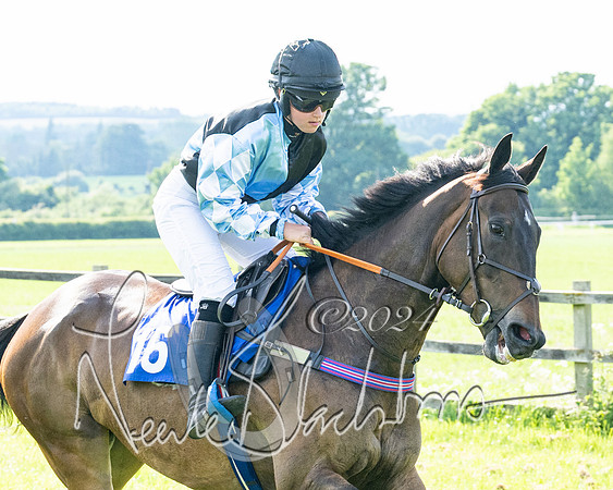 Race 5  - Maiden race 2m5F Div-2 (92 of 205)
