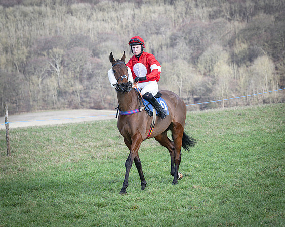 Race 5 - Home counties Grand National (49 of 194)
