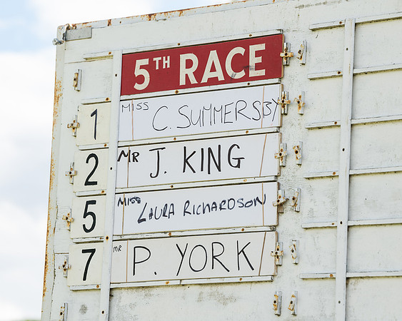 Race 5 - Restricted  (1 of 136)