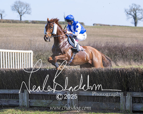 Race 1 - Maiden (105 of 188)