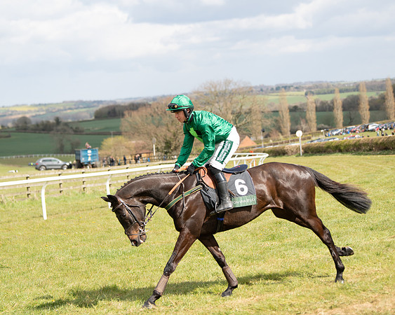 Race 2 - Young Horse Maiden (20 of 104)