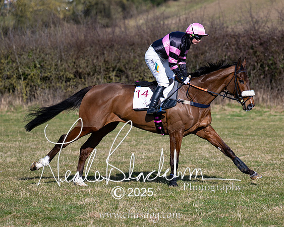 Race 1 - Maiden (53 of 188)