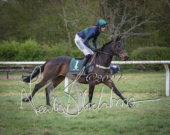 Race 7 - The Jockey Club maiden race for Mares and Fillies only (4 of 96)
