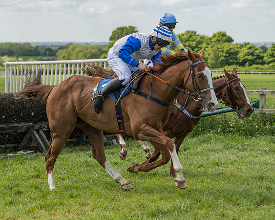 Race 2 - Restricted  (67 of 90)
