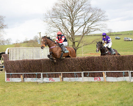 Race 2 - Young Horse Maiden (59 of 104)
