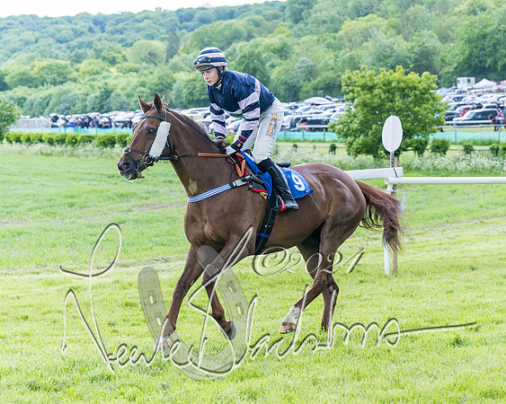 Race 3 - Conditions (106 of 367)