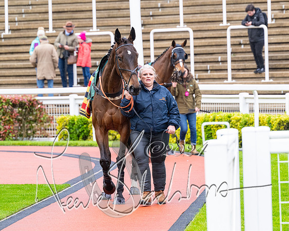 Race 5 - Mares Open  (2 of 129)