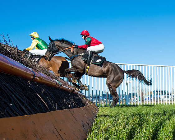 Race 5 - Novice riders (77 of 201)
