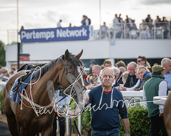 Race 3 - The pointtopoint.co.uk champion novices’ Hunter Chase (25 of 140)