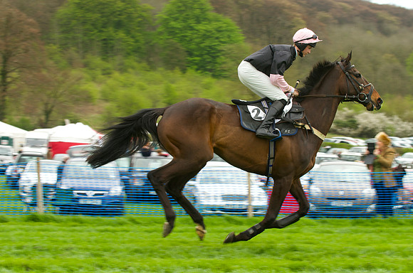 Kimblewick Point to Point at Kingston Blount Racecourse on Saturday 12th April 2014