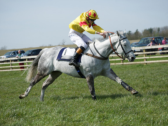 Pony Race 3 -  47