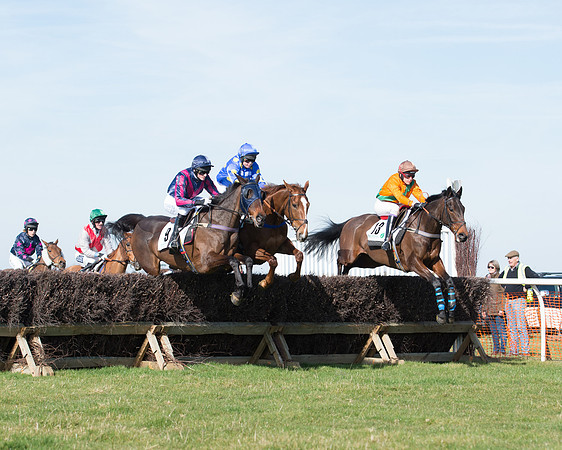 Race 2 - Open Maiden Div 2 (58 of 124).jpg
