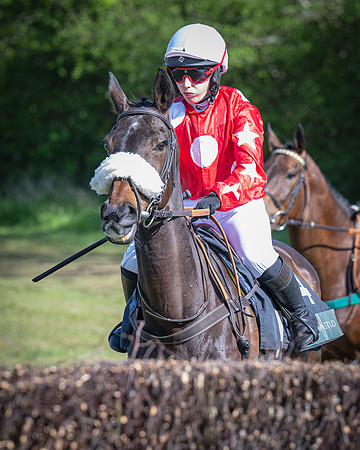 Race 5 - F N Pile and Sons PPORA Novice Riders (24 of 151)