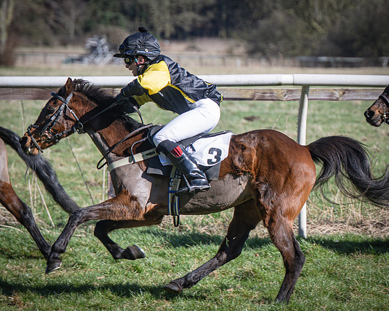 Pony Races (46 of 112)