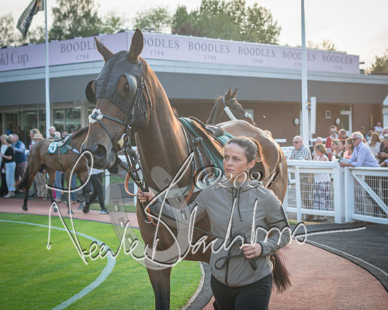 Race 6 - The Brooklands watches Golden Miller chronograph open hunter’s steeplechase 4m 97y (46 of 396)