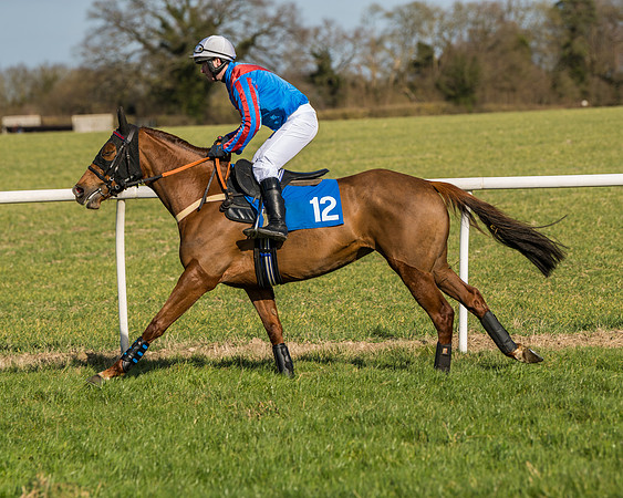 Race 1 - Open Maiden Division 2 (26 of 173)