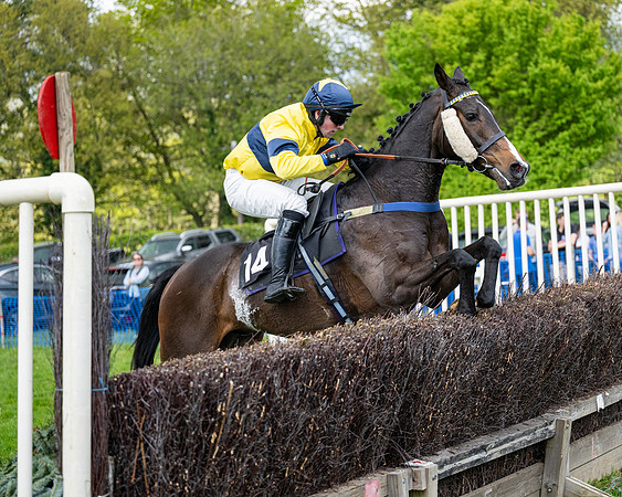 Race 5  - Maiden  (71 of 84)