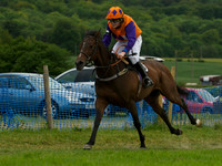 Pony Race - 3