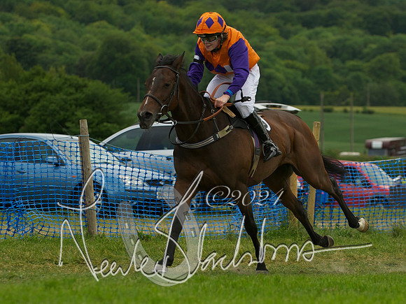 Pony Race - 3