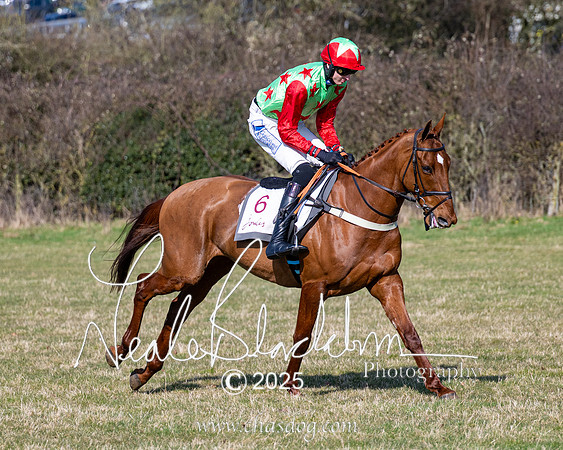 Race 1 - Maiden (74 of 188)