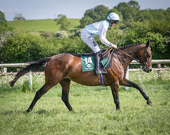 Race 5 - Restricted (27 of 116)