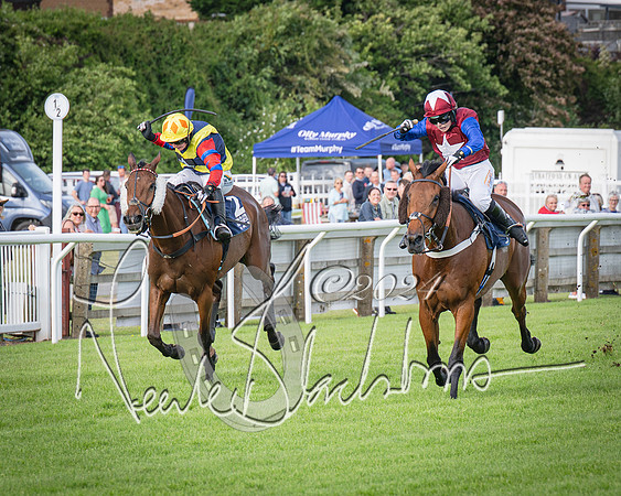 Race 2 - Olly Murphy Racing Stratford Ladies Open (86 of 111)
