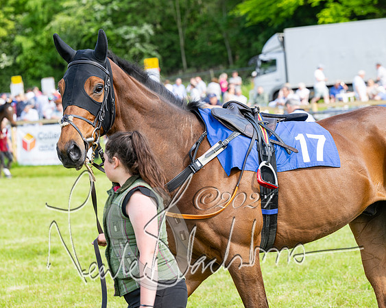 Race 5  - Maiden race 2m5F Div-1 (6 of 197)
