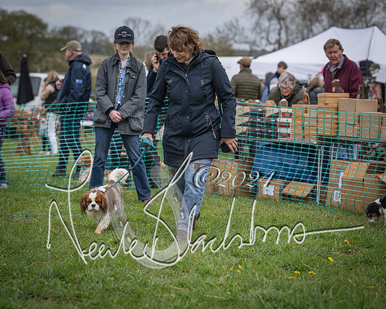 Bicester - Dog Show (54 of 106)