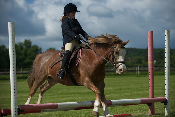 SOHS PC Summer Show at BCA 17th June 2012