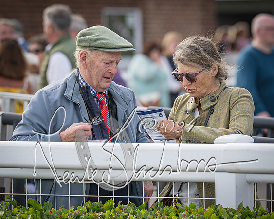 Race 3 - The pointtopoint.co.uk champion novices’ Hunter Chase (2 of 140)