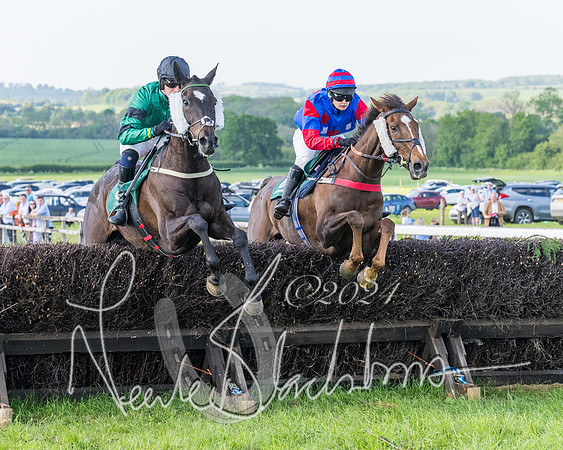 Race 7 - Veteran Horse (76 of 246)