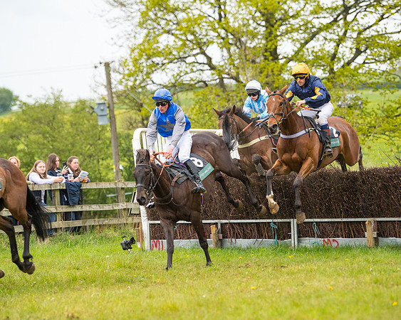 Race 7 - Open Maiden  (50 of 106)