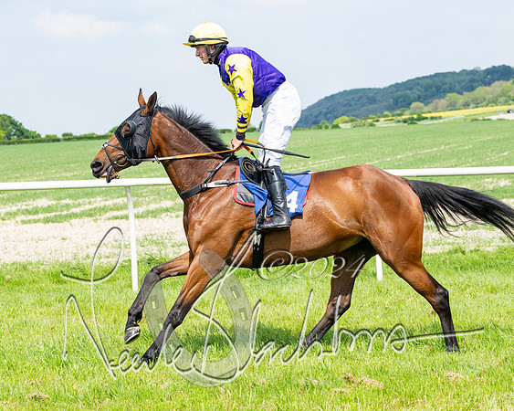 Race 2 - Restricted  (169 of 308)