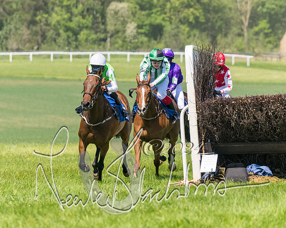 Pony Races  (59 of 141)