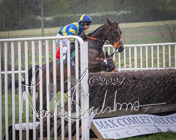 Race 7 - The Jockey Club maiden race for Mares and Fillies only (39 of 96)