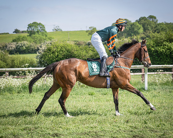 Race 5 - Restricted (30 of 116)