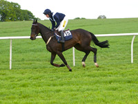 KM5_8348