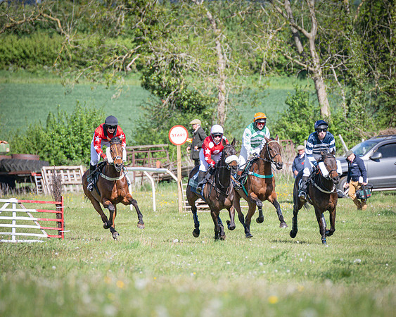 Race 5 - F N Pile and Sons PPORA Novice Riders (37 of 151)