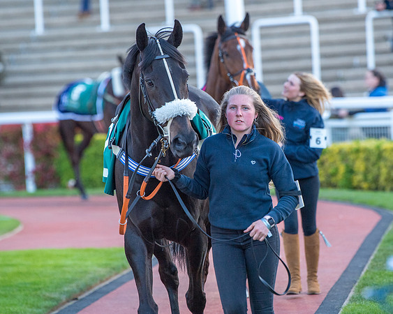 Race 7 - Glos Hussars  (24 of 245)