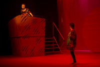Lion King (19 of 484).jpg