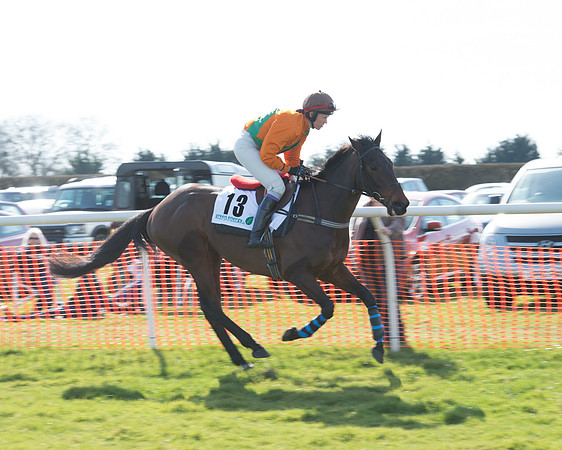 Race 2 - Open Maiden Div 2 (11 of 124).jpg