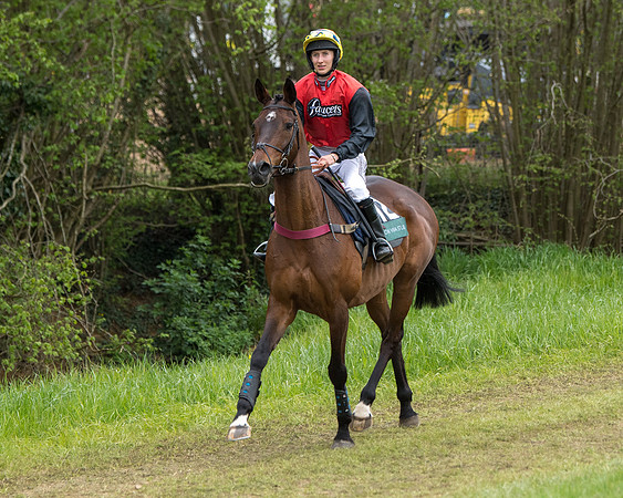Race 6 - Restricted (6 of 173)