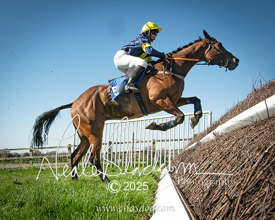 Race 5 - The restricted (79 of 113)