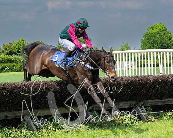 Race 2 - Restricted  (195 of 308)