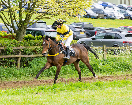 Race 4 - mixed Open  (16 of 155)